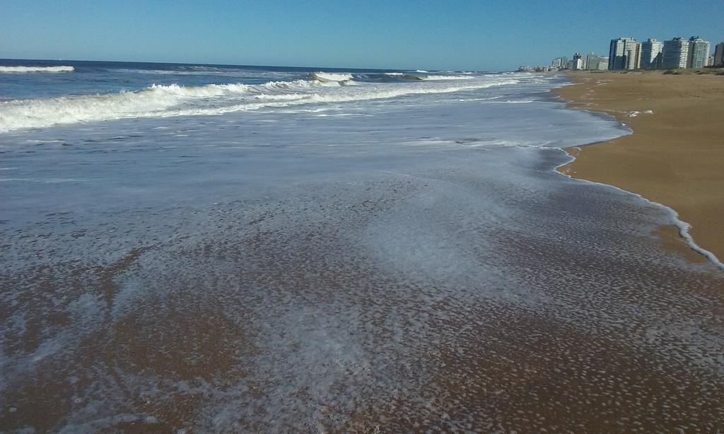 Spiaggia Brava Punta 埃斯特角城 外观 照片
