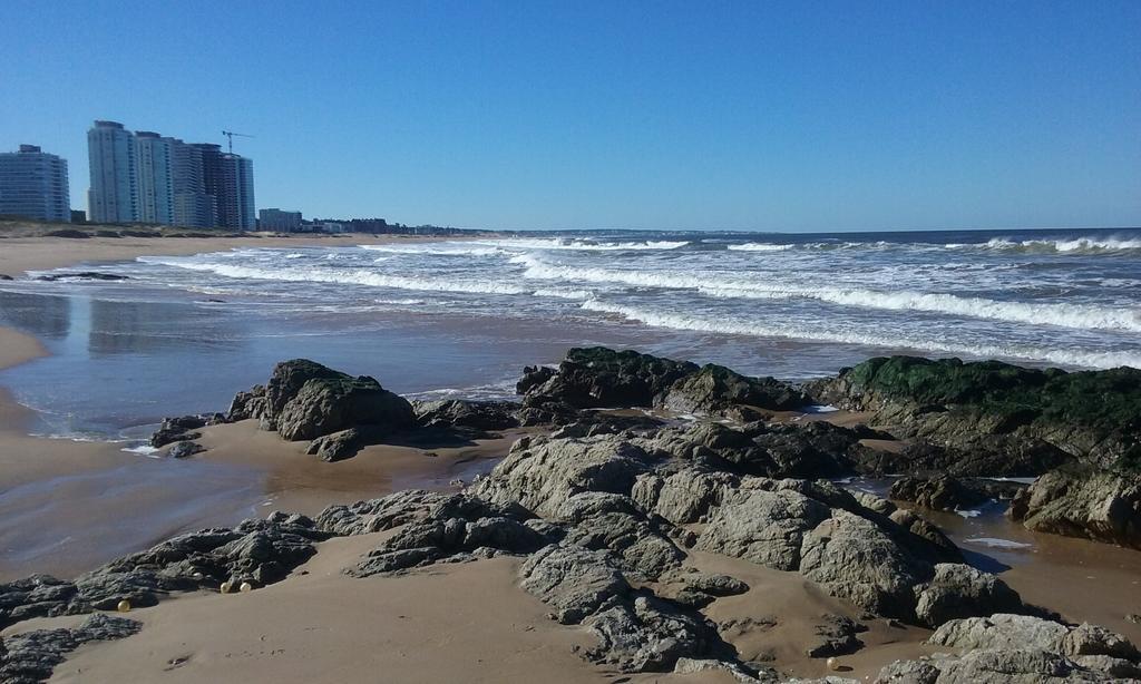 Spiaggia Brava Punta 埃斯特角城 外观 照片